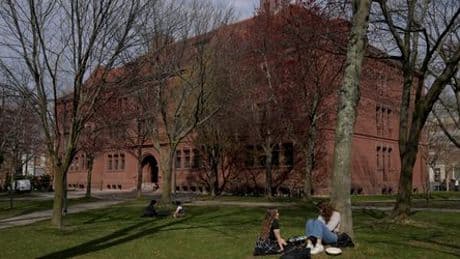 Donald Trump gegen die Wissenschaft: Wie viel Widerstand kann sich Harvard leisten?