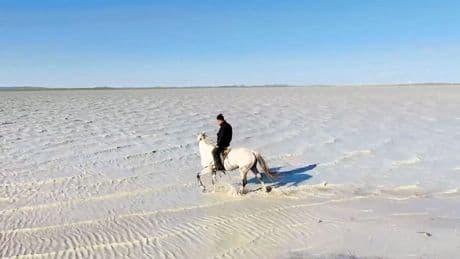 Seltenes Naturschauspiel  - Dieser See ist weiß wie Milch