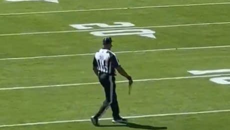 Sex toy thrown onto field during Browns-Bengals season opener