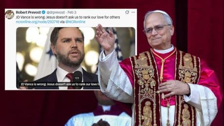 New Pope Leo XIV’s resurfaced tweets reveal what he really thinks about Trump