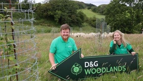 Grants of up to £1,000 offered to support native tree planting across Dumfries and Galloway