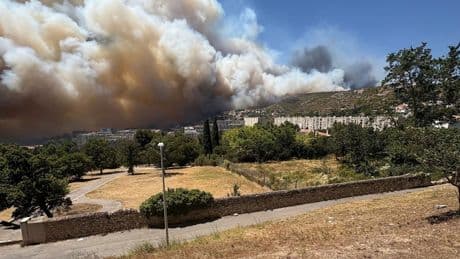 Waldbrände in Frankreich: Feuerwehr kämpft um Marseille