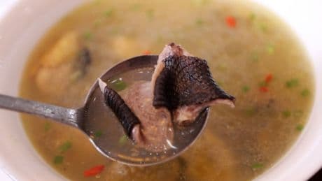 More than 100 children fall ill after finding a dead snake in their lunch