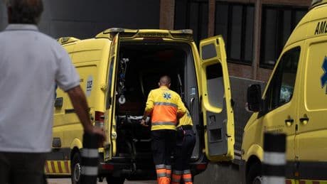 Muere un hombre por un ataque de abejas en Alcaine