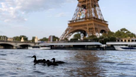 🌟The Bright Side: Swimming in the Seine to become reality for Parisians