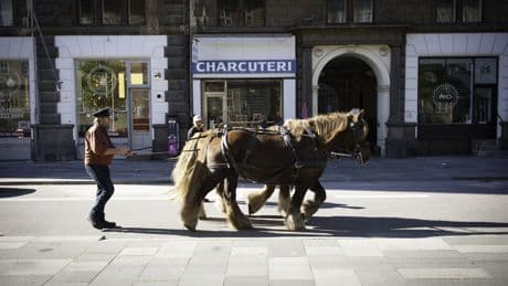 ¿Reformar o no reformar el sistema de pensiones? Dinamarca nos advierte de lo que nos espera