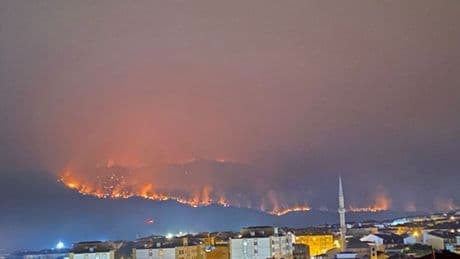 Sakarya'daki yangında üçüncü gün!