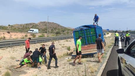 El escape de una vaquilla en Alicante saca a la luz celebraciones taurinas ilegales