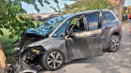 Maltempo a Matera, albero cade su un'auto: morto un ragazzo di 24 anni e tre feriti gravi