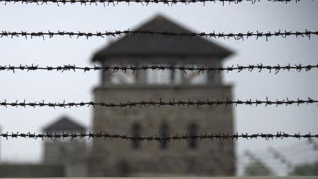 Espagne : la mort de milliers d'Espagnols dans des camps nazis va faire l’objet d’une enquête par le parquet