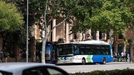 Majorca panic as tourists brand island ‘too expensive’ while transport costs soar by 30%