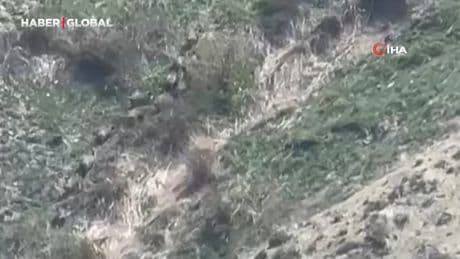 Hakkari'de sürü halde kayıtlara geçtiler