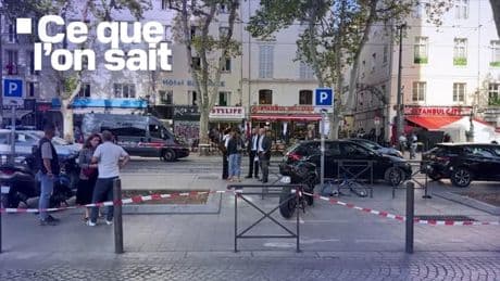 Profil de l'assaillant, "périple criminel"... Ce que l'on sait de l'attaque au couteau dans un hôtel à Marseille