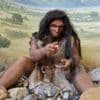 "C'est la première fois qu'on voit apparaître cette ébauche de menton" : une étude redessine la carte généalogique des tout premiers humains