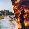 Tot 41,6 graden: temperatuurrecords gebroken in Frankrijk - 2.000 mensen geëvacueerd in Turkse toeristische streek