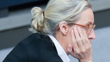 Bundestag: Warum die AfD plötzlich Distanz gegenüber Moskau zeigt