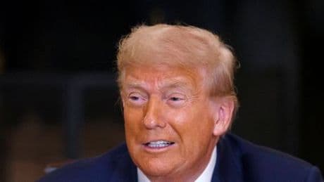 Handelsstreit: Donald Trump verhängt Zölle in Höhe von 35 Prozent gegen Kanada