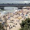 Climate scientists call for 'immediate action' to tackle global warming - as Britain records its hottest spring on record
