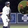Baseball game descends into chaos as gloating batter sparks mass ejections for players, coaches and parents