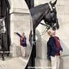 Heartwarming moment King's Guard horse rewards delighted little girl with a 'kiss' after she makes sweet gesture