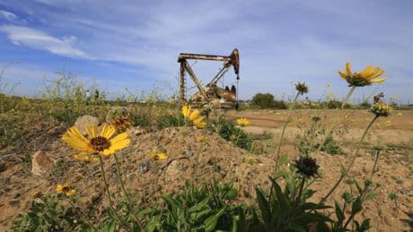 Letters to the Editor: As July 4th approaches, Orange County preserve requires fire-preventing action