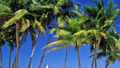Urlaubsbilder der anderen: Sich zu vergleichen, tut der Stimmung meist nicht gut