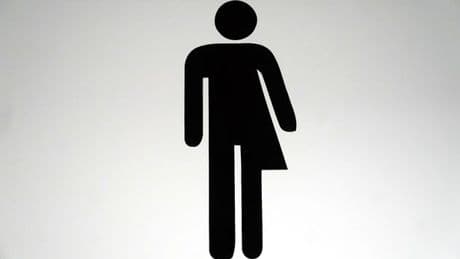 Perth and Kinross Council awaiting Scottish Government guidance on gender neutral toilets in schools