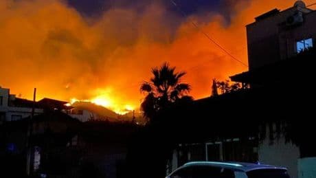Hatay’daki orman yangınına ilişkin 1 gözaltı