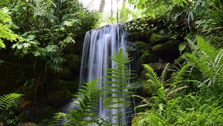 I've lived in Florida for over 25 years. Skip the major cities and spend time in these 5 gorgeous state parks instead.