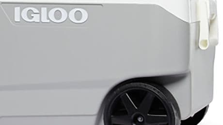 130,000 Igloo Coolers Recalled After Fingertip Amputations From Handle