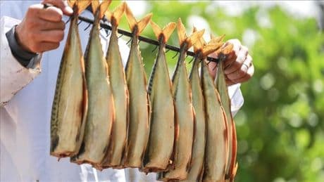 Türkiye'de milyonlarca kişi düzenli olarak tüketiyor: Sağlığa en zararlı balık türü belli oldu