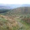Police shut down illegal rave in forestry