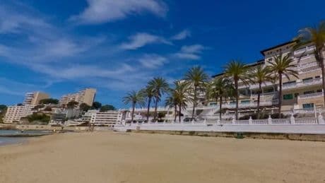 Panic in Majorca as hotel evacuated with guests rushed to hospital
