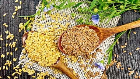 Das Beste lesen mit FAZ+: Was hinter Neurosen steckt und welche Superfoods ein Arzt empfiehlt