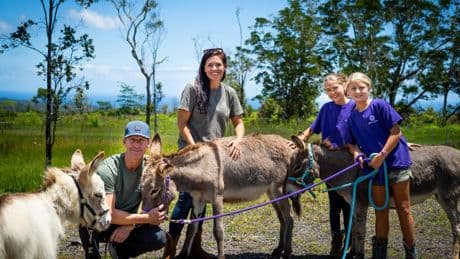 Seeds Of Hope: Veterans And Caregivers Heal Through Agriculture
