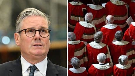 Keir Starmer issued devastating blow by House of Lords as PM backed into a corner