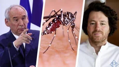 Les Français opposés à la suppression des jours fériés, suspension du vaccin contre le Chikungunya, Jean Imbert visé par une plainte... Les 3 infos à retenir à la mi-journée