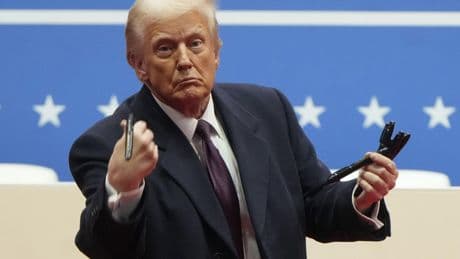 Trump upends 'mass deportation' order, tells ICE to go easy on 'heartland'