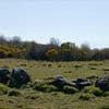 World's oldest pitch proves football was born in SCOTLAND - and not England, expert claims