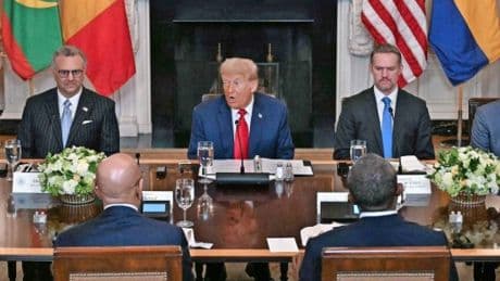 Gipfel in Washington: Trump entdeckt Afrika