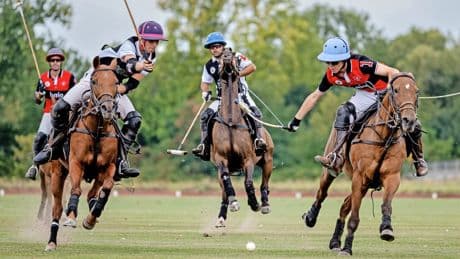 Kostspieliger Pferdesport: Gilt Polo zu Unrecht als elitär?