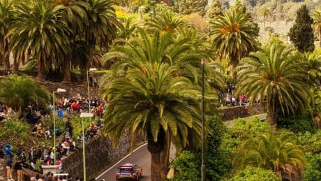 Pilotos y FIA pactan las multas por el mal vocabulario en el WRC Rally Canarias 2025