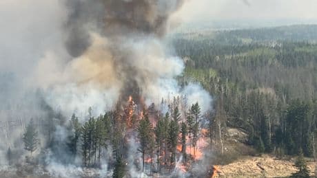 Portions of Whiteshell Provincial Park reopen as crews continue to fight wildfires