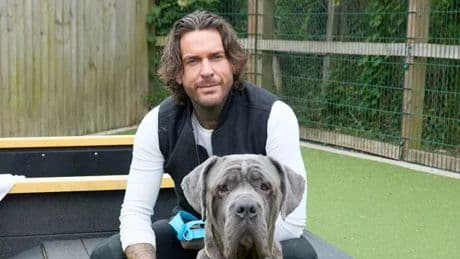 Pete Wicks delighted as dying dog Theo gets loving home for final days