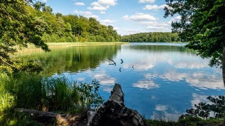 S-Bahn-Ausflug ab Berlin: Liepnitzsee bietet Erholung