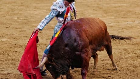 Y Morante de la Puebla volvió a ser el torero de la suerte aciaga en Santander