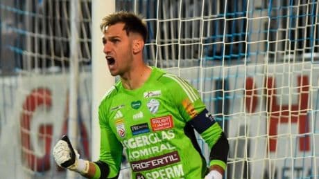 Raphael Sallinger a Hibs transfer target as Bournemouth keeper also eyed in potential keeper shakeup
