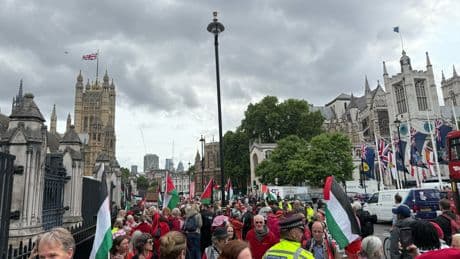 Pro-Palestine protesters block Parliament ahead of bill demanding probe into UK ‘complicity’ with Israel