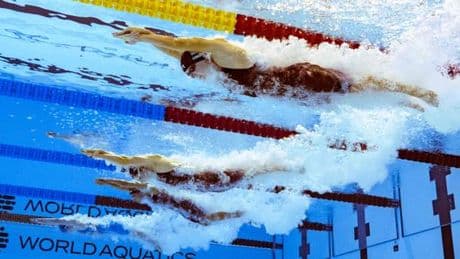 Katie Ledecky reste reine mondiale du 800 m nage libre et fait parler son expérience face à Summer McIntosh