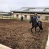 Au Pôle international du cheval de Deauville, une nouvelle carrière innovante est testée